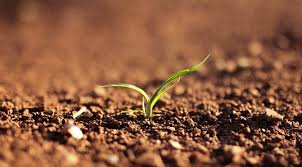 Three-quarters of Earth's land became permanently drier in last 3 decades